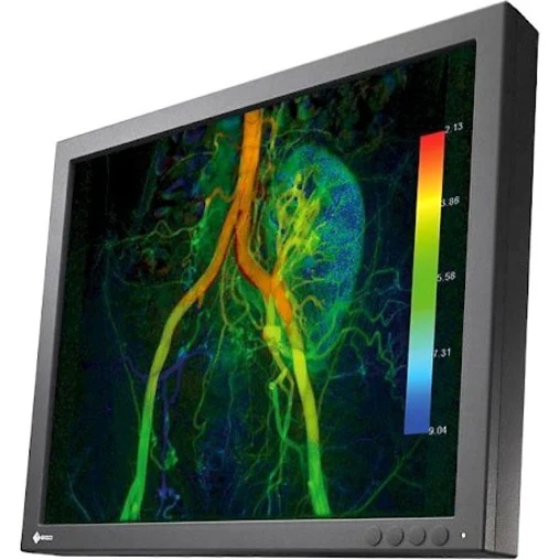 EIZO CuratOR EX190-S 19" Class SXGA LCD Monitor - 5:4 - Black - 19" Viewable - In-plane Switching (IPS) Technology - LED Backlight - 1280 x 1024 - 16.77 Million Colors - 700 Nit - 14 ms - 75 Hz Refresh Rate - DVI - DisplayPort