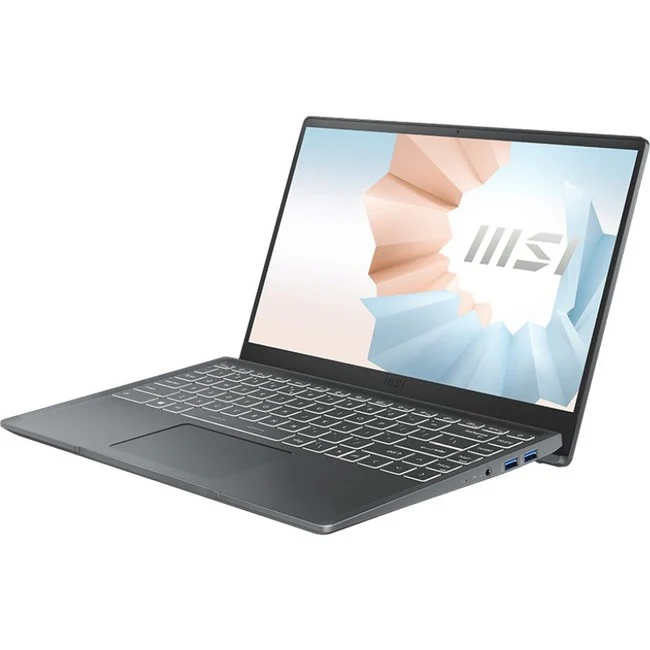 MSI Modern 14 Modern 14 B11MOU-834CA 14" Notebook i7-1195G7 8GB Win10 Home