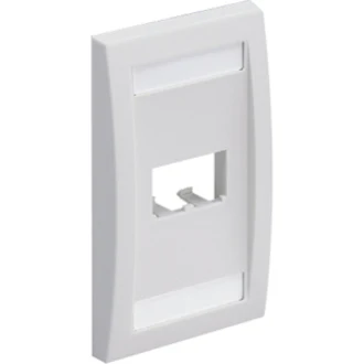 Panduit 2-Socket Faceplate