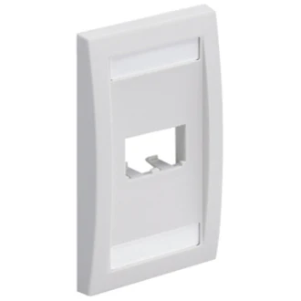 Panduit Mini-Com 2 Sockets Single Gang Faceplate