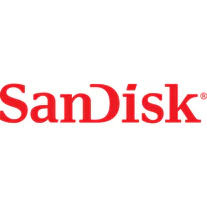 SanDisk 256 GB Solid State Drive